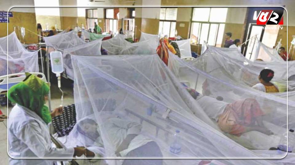ডেঙ্গুতে ৩ জনের মৃত্যু, আক্রান্ত ৮৯৯