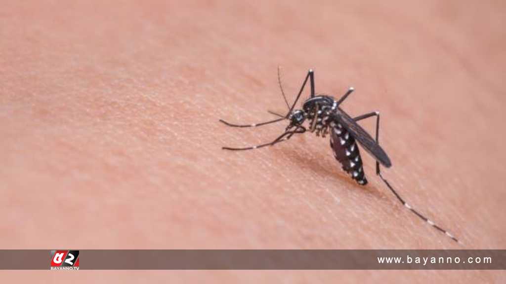 দেশে বাড়ছে ডেঙ্গুর প্রকোপ, সতর্ক থাকার পরামর্শ ডেঙ্গু