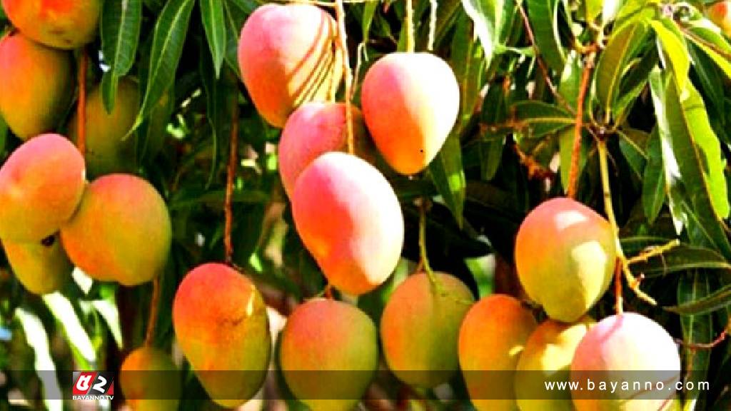 আজ আম দিবস