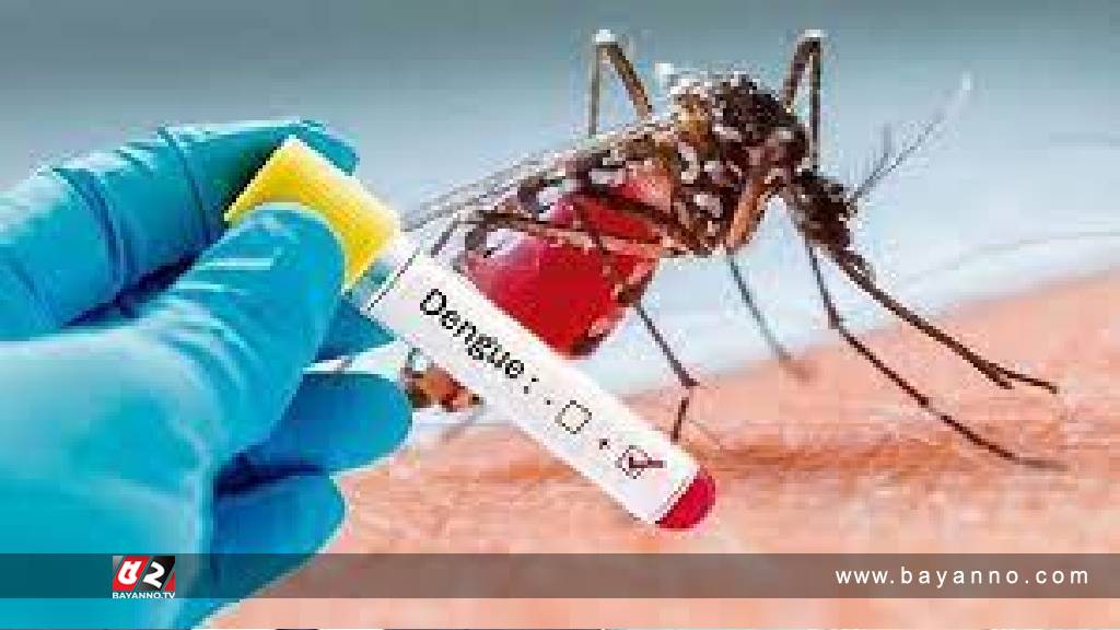 ডেঙ্গুতে আরও ৯ জনের মৃত্যু, হাসপাতালে ভর্তি ২১৪৯ ডেঙ্গু